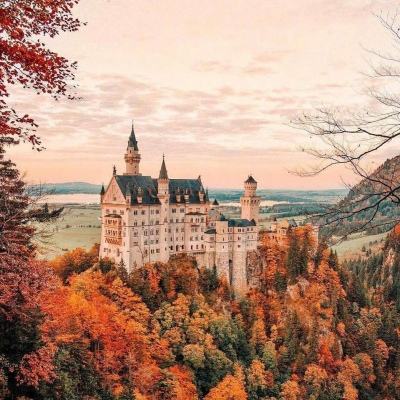 冬日树下的回忆AFTER